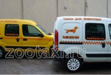 Photo of Автоперевозки для животных