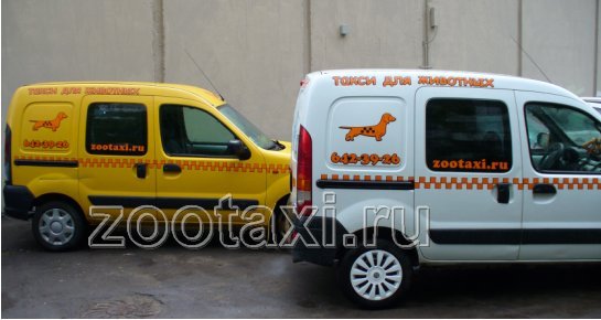 Photo of Автоперевозки для животных