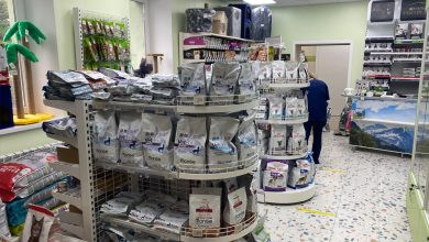 Photo of Специализированный магазин для домашних питомцев