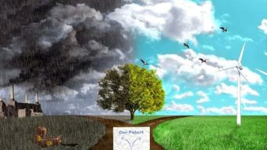 Photo of Свежий воздух и экологическая чистота