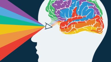 Photo of Влияние цвета на эмоциональное восприятие велосипеда