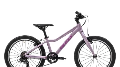 Photo of Уникальность и символика цвета в стилистике дизайна фиолетовых велосипедов